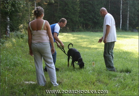 Summer training camp in Finland 2007